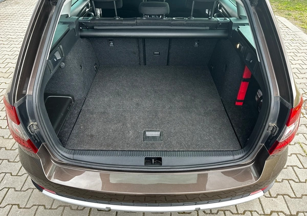 Skoda Octavia cena 93900 przebieg: 100561, rok produkcji 2019 z Woźniki małe 154